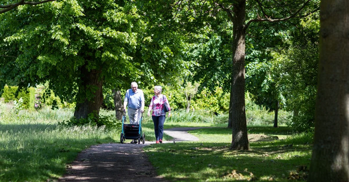 Un couple senior profitant d'une promenade paisible dans un chemin verdoyant d'un parc durant l'été.