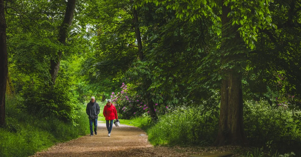 Un couple senior profite d'une promenade paisible le long d'un chemin arboré et verdoyant à Clisson, en France.