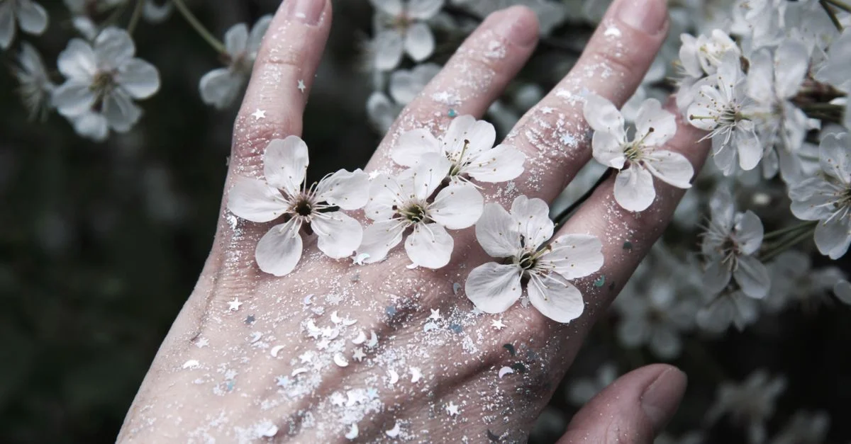 Gros plan sur des fleurs de cerisier blanches posées sur une main saupoudrée de paillettes.