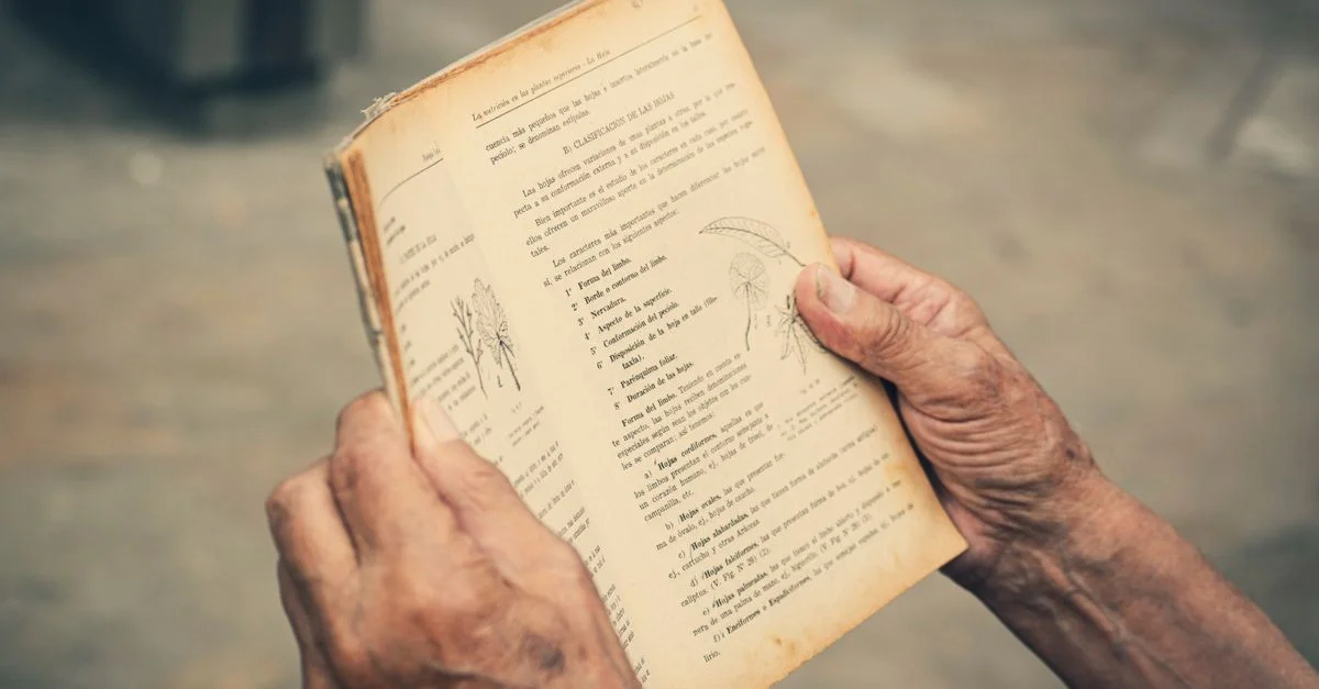 Un gros plan de mains âgées tenant et lisant un livre vintage à l'extérieur.