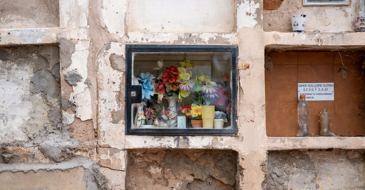 Des fleurs colorées ornent une niche de cimetière à San José de Las Salinas, capturant un mélange de tradition et de décadence.